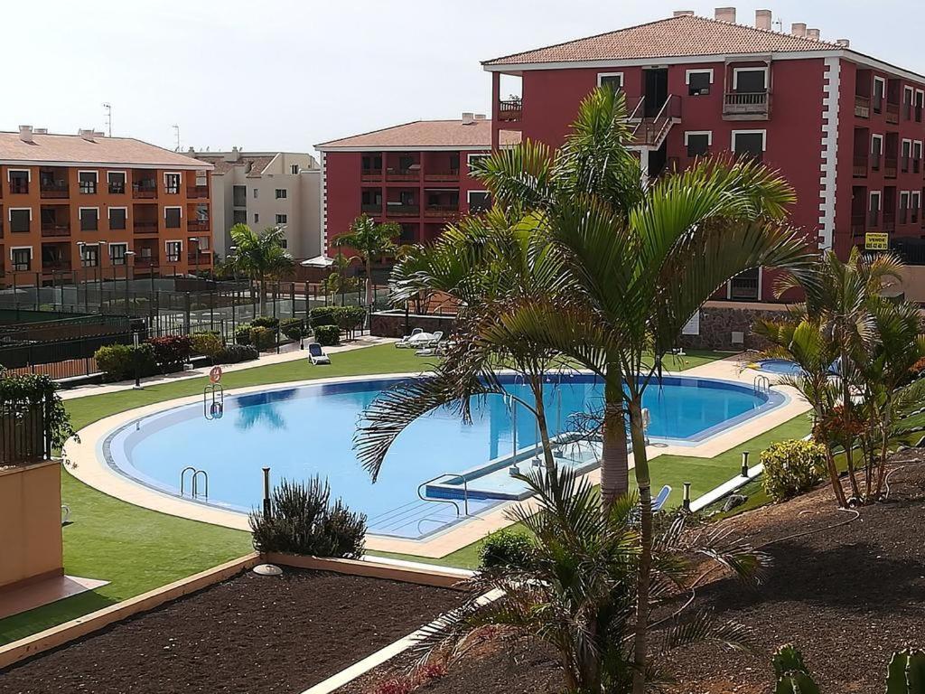 Mocan Perfect Stay Palm-mar Bagian luar foto
